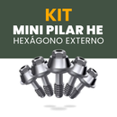 KIT 10 Unidades Mini Pilar HE (Hexágono Externo)