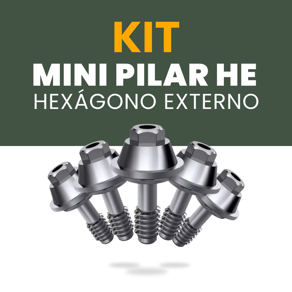 KIT 10 Unidades Mini Pilar HE (Hexágono Externo)