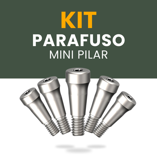 KIT 100 Unidades Parafuso Mini Pilar