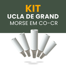 KIT 10 Unidades Ucla GM Co-Cr
